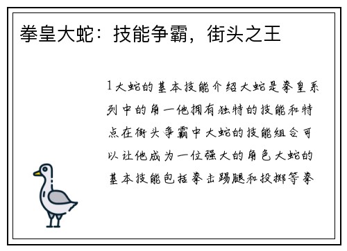 拳皇大蛇：技能争霸，街头之王